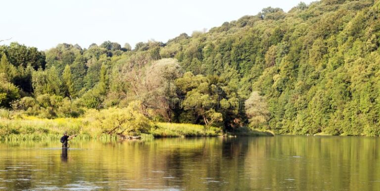 Qué productos y servicios ofrece Angler's Aventuras Fly Shop 17 pesca con mosca en un paisaje natural