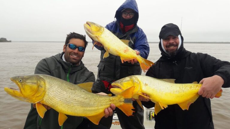 Qué necesitas saber sobre la pesca en Argentina y sus regulaciones 7 Qué necesitas saber sobre la pesca en Argentina y sus regulaciones