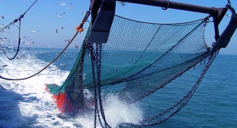pesca sostenible en rios argentinos