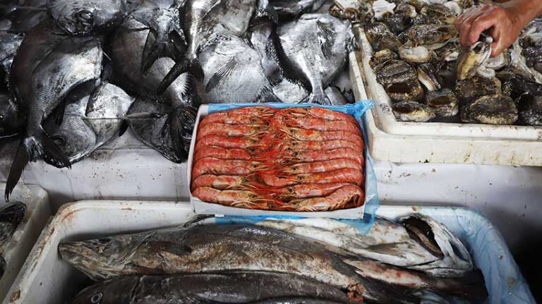 Qué día se come pescado durante la Semana Santa en Argentina 10 pescado fresco en mesa de semana santa