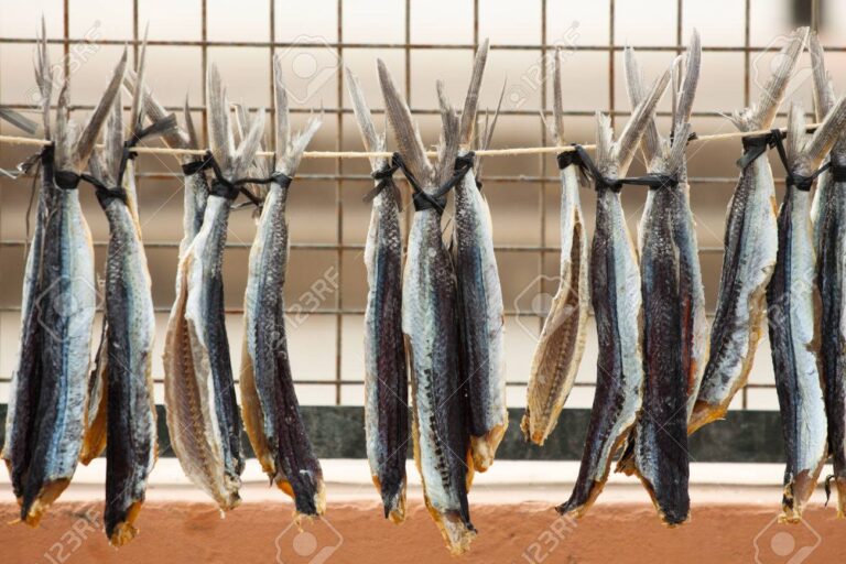 Qué es el pescado seco y curado al aire y cómo se prepara 7 Qué es el pescado seco y curado al aire y cómo se prepara