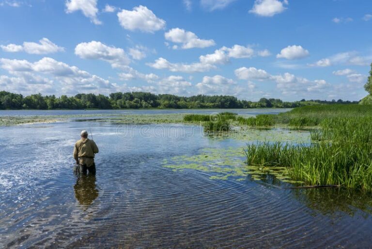 Cómo puedo obtener mi licencia de pesca por internet en Argentina 30 pescador con cana en un paisaje natural