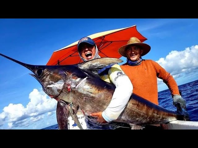 Qué hacer si sufres un accidente pescando pez espada 22 pescador en accion con pez espada