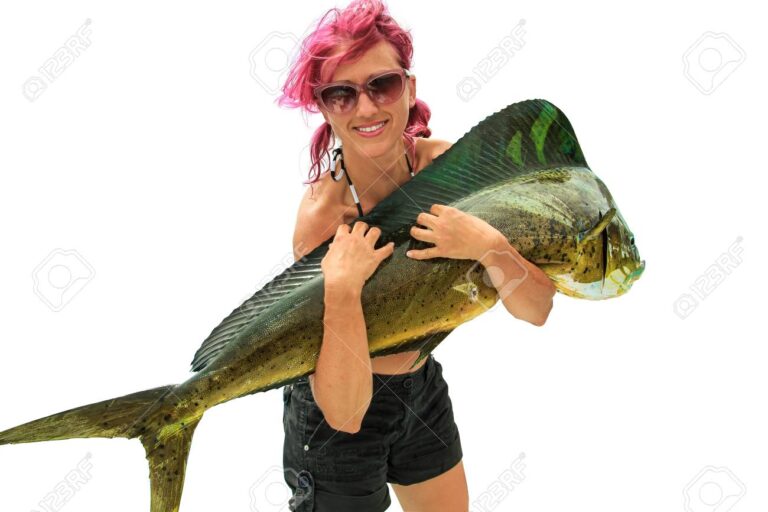 Cuánto cuesta actualmente el kilo de dorado en Argentina 15 pescador sosteniendo un dorado fresco