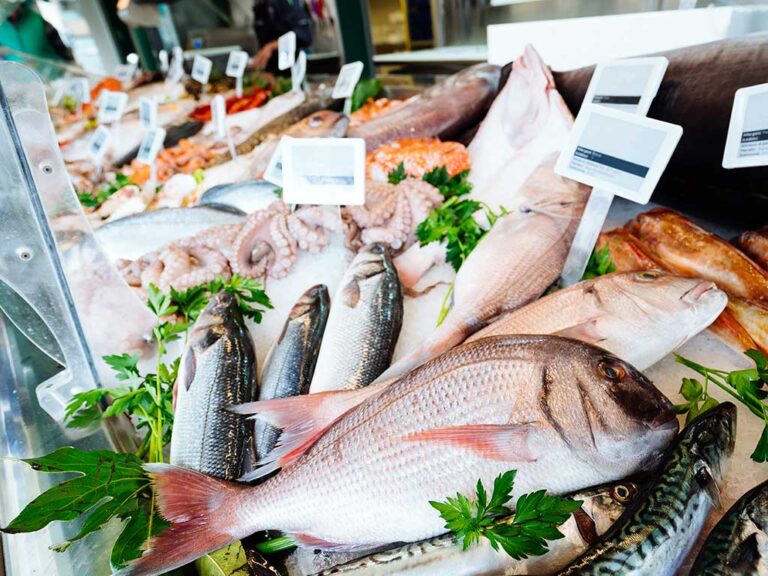 pescados frescos en un mercado de mariscos