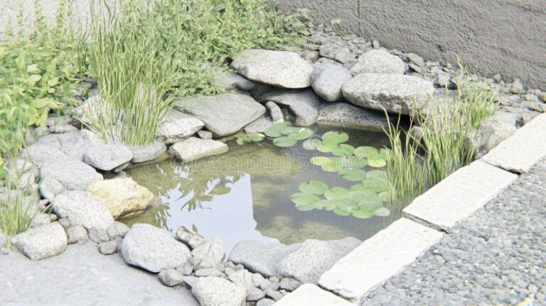 plantas acuaticas en un jardin sereno