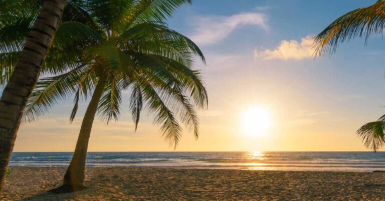 playa tranquila en key biscayne al atardecer