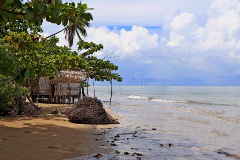 Qué playas de Bahía Blanca son ideales para el turismo 25 playas soleadas en bahia blanca