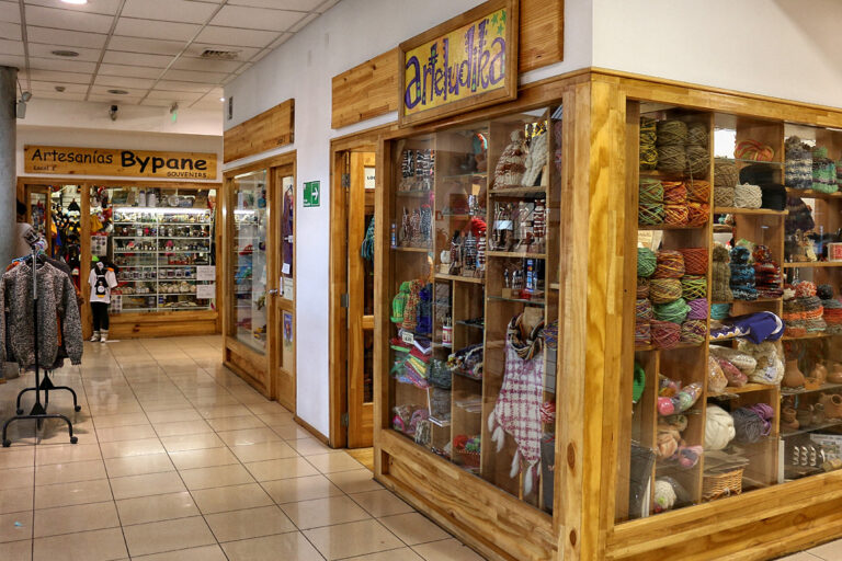 Qué productos son más convenientes comprar en la zona franca de Punta Arenas