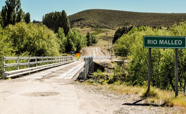 Qué información necesito sobre el paso fronterizo Mamuil Malal 13 puente sobre el paso fronterizo mamuil malal