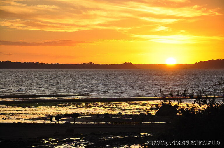 puerto montt al atardecer con su puerto