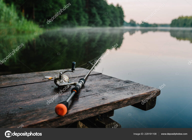 Qué es un reel rotativo y cómo elegirlo para tu caña de pescar 8 reel de pesca con cana en la naturaleza