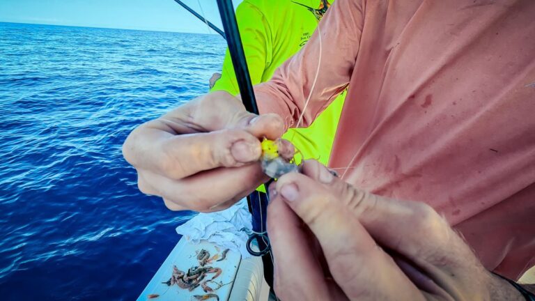 Qué características tiene el reel Huevito Abu Garcia 7 Qué características tiene el reel Huevito Abu Garcia