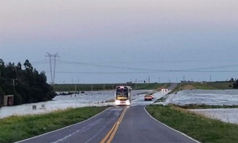 Cómo llegar de Punta Alta a Bahía Blanca en auto o transporte público