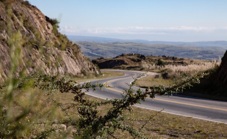 Cómo llegar desde Córdoba a General Roca en auto o bus 7 Cómo llegar desde Córdoba a General Roca en auto o bus