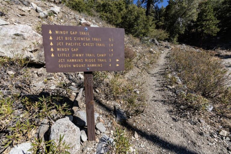 Cómo llegar al Out Lab en Villa La Angostura y qué actividades ofrece 22 sendero forestal hacia el lago cristalino