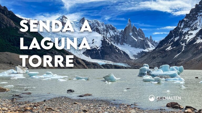 Qué se necesita saber para hacer trekking a Laguna Torre en El Chaltén 25 sendero hacia laguna torre en el chalten