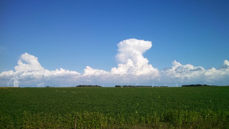 Qué servicios ofrece el SMN en Venado Tuerto y su región