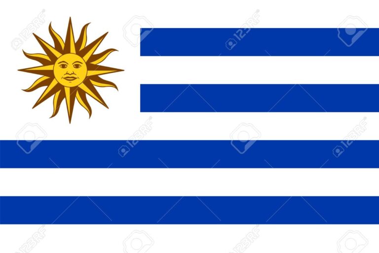 Dónde puedo encontrar imágenes PNG del Sol de Mayo en la bandera argentina 9 sol de mayo en fondo azul celeste