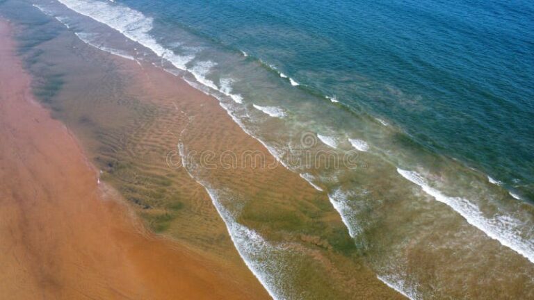 vista panoramica de playas doradas