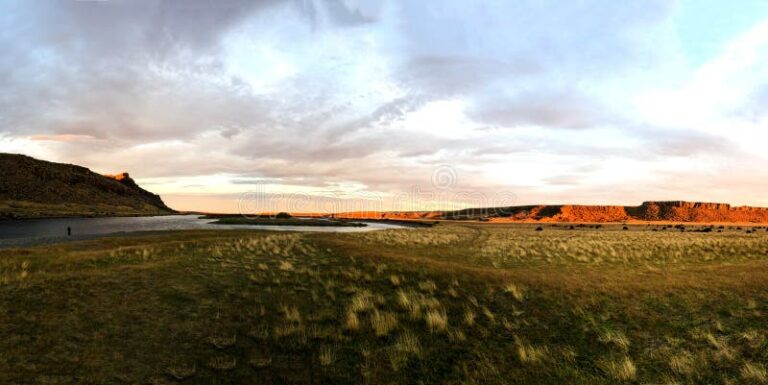 Dónde encontrar opciones de alquiler por día en Río Gallegos 4 Dónde encontrar opciones de alquiler por día en Río Gallegos